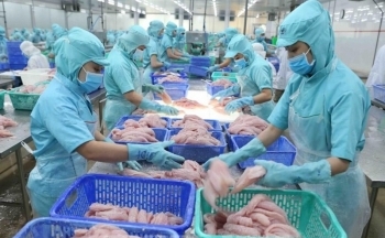 Chủ động tìm hiểu thị trường, tăng cơ hội xuất khẩu thủy sản sang Vương quốc Anh