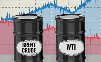 Giá xăng dầu hôm nay ngày 31/10/2023: Giá dầu Brent giảm sốc