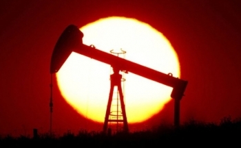 Giá dầu có thể phục hồi khi căng thẳng địa chính trị còn tiềm ẩn