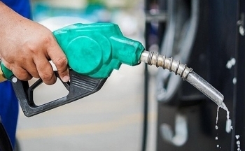 Giá xăng dầu hôm nay ngày 1/11/2023: Giá dầu WTI, dầu Brent biến động nhẹ