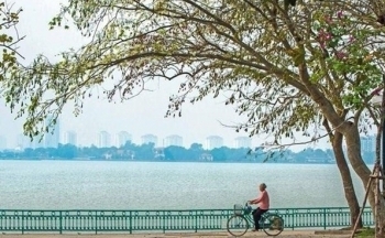 Thời tiết chiều nay 1/11/2023: Trung Bộ tiếp tục mưa, Bắc Bộ dịu mát