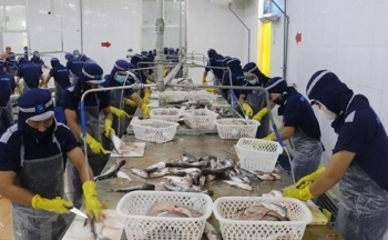 Trung Quốc là thị trường xuất khẩu lớn nhất của nông, lâm, thủy sản