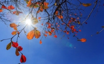 Thời tiết chiều nay 2/11/2023: Bắc Bộ hửng nắng, Trung Bộ tiếp tục mưa