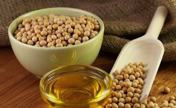 Dầu đậu tương đóng cửa tại mức thấp nhất trong gần 5 tháng qua