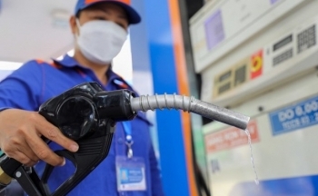 Đại biểu Quốc hội: Giảm thuế môi trường đối với xăng dầu có còn hợp lý?