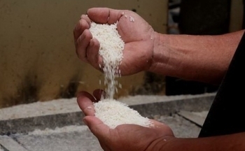 Giá gạo xuất khẩu của Việt Nam tăng vọt, cao nhất từ trước đến nay