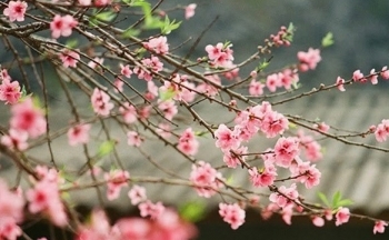 Tết Nguyên đán và Quốc khánh năm 2024 được nghỉ bao nhiêu ngày?