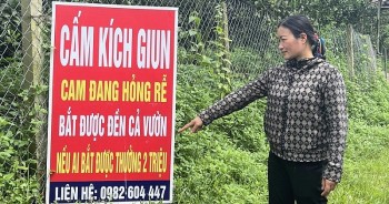 Đại biểu Quốc hội: Kích điện bắt giun cần xem là hành vi hủy hoại đất