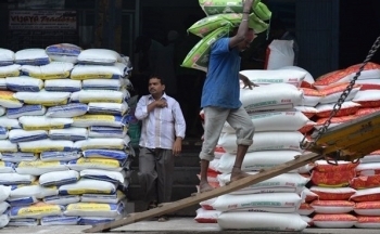 Giá gạo xuất khẩu của Ấn Độ ghi nhận giảm tuần thứ 5 liên tiếp