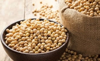 Đậu tương ghi nhận tuần tăng mạnh nhất trong hơn 2 tháng qua