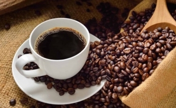 Giá cà phê mới nhất ngày 6/11/2023: Thị trường trong nước giảm nhẹ 100-200 đồng/kg