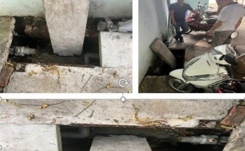 Hoãn xuất cảnh giám đốc doanh nghiệp nợ thuế; Phạt 3 cơ sở xả thải ra môi trường