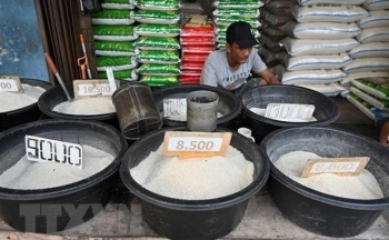 Indonesia dự định nhập khẩu 2 triệu tấn gạo trong năm 2024