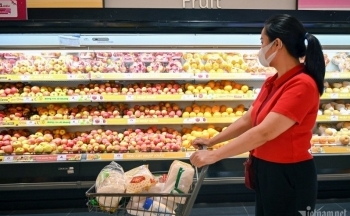 Việt Nam chi 1,6 tỷ USD nhập khẩu, nhiều trái cây cao cấp thành hàng giá rẻ