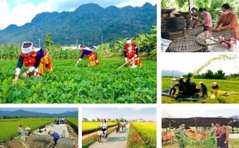 Đề xuất thí điểm 7 chính sách đặc thù để đẩy nhanh tiến độ các chương trình mục tiêu quốc gia