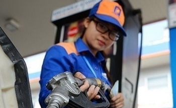 Giá xăng dầu hôm nay ngày 8/11/2023: Giá dầu WTI, dầu Brent sụt giảm nghiêm trọng