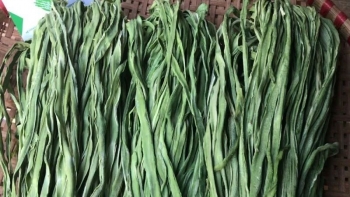 Rau tiến vua là gì, có thực sự tốt không?