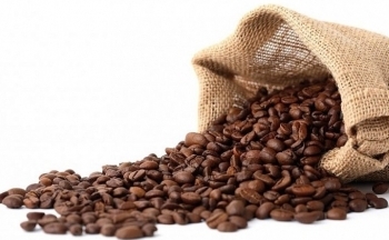 Giá cà phê mới nhất ngày 10/11/2023: Thị trường trong nước tăng 800 đồng/kg
