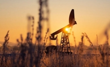 Giá dầu phục hồi khi lo ngại về nhu cầu giảm bớt