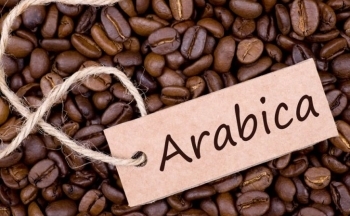 Giá cà phê Arabica tiếp tục tăng khi đà giảm của tồn kho chưa dừng lại