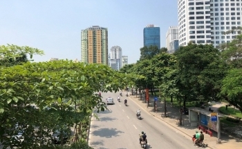 Dự báo thời tiết Hà Nội ngày mai 11/11/2023: Hà Nội trời hửng nắng, không mưa