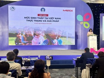 Việt Nam sẽ đối mặt với tình trạng thiếu hụt lao động do mức sinh thấp