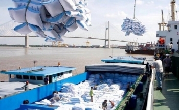 Gom mua gạo Việt, một nước thành khách lớn thứ 2 của Việt Nam, vượt qua Trung Quốc