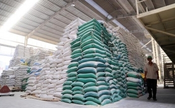 Giá lúa trong nước nhích lên, giá gạo xuất khẩu giữ nguyên không đổi