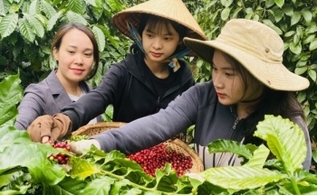 Tăng hỗ trợ, cập nhật thông tin cho doanh nghiệp về hiệp định thương mại tự do (FTA)