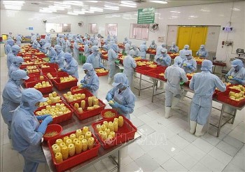 Hiệp định EVFTA mở đường chính ngạch cho hàng hoá Việt Nam vào thị trường Pháp