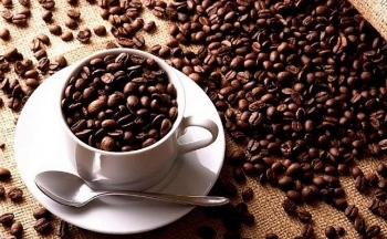 Giá cà phê có thể đảo chiều khi nguồn cung được nới lỏng