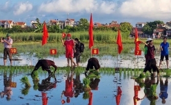 Quảng Ninh: 5 di sản văn hóa phi vật thể quốc gia được công nhận