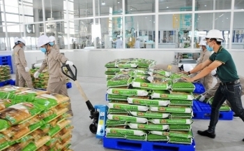 Giá gạo tăng: Ai vui? Ai buồn?