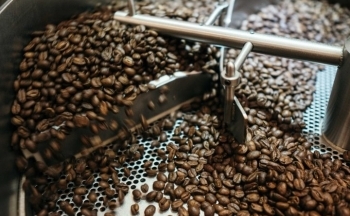 Giá cà phê mới nhất ngày 16/11/2023: Thị trường trong nước giảm nhẹ 200 - 300 đồng/kg