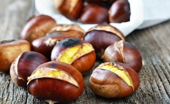 Hạt dẻ mang lại lợi ích gì cho sức khỏe?