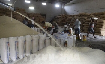 Ấn Độ ký nhiều thỏa thuận xuất khẩu gạo basmati mùa vụ mới