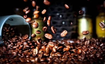 Giá cà phê mới nhất ngày 18/11/2023: Thị trường trong nước giảm sâu 1.100 - 1.300 đồng/kg