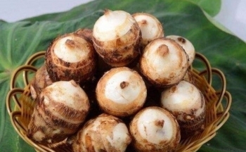 Vì sao khoai sọ được coi là 'thần dược của người nghèo'?