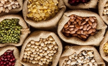 Khô đậu lao dốc, dẫn đầu đà giảm của nhóm nông sản