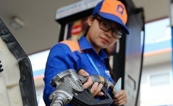 Giá xăng dầu hôm nay ngày 19/11/2023: Giá dầu thế giới bật tăng