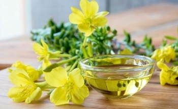 Dầu hoa anh thảo: Mỹ phẩm thiên nhiên làm đẹp da hữu ích?