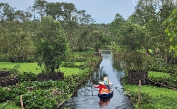 An Giang: Vẻ đẹp rừng tràm ngập nước Trà Sư