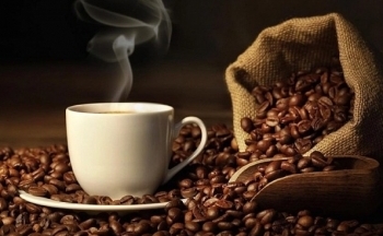 Giá cà phê mới nhất ngày 20/11/2023: Thị trường cà phê trong nước ổn định