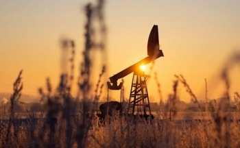 Sắc xanh áp đảo bảng giá nông sản, giá dầu duy trì đà tăng