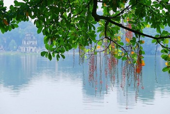 Dự báo thời tiết Hà Nội hôm nay 25/11/2023: Hà Nội sáng có sương mù nhẹ, trưa chiều trời nắng