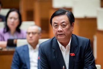 Bộ trưởng Bộ Nông nghiệp nói gì về tình trạng lạm dụng hóa chất trong bảo quản rau củ quả?