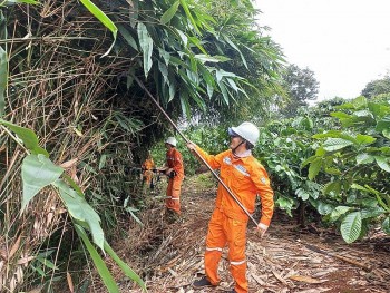 PC Đắk Lắk: Nhiều giải pháp đảm bảo vận hành an toàn lưới điện 110kV