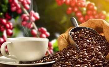 Giá cà phê mới nhất ngày 22/11/2023: Thị trường cà phê trong nước giảm 500 đồng/kg