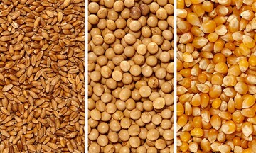 Đậu tương ghi nhận mức giảm mạnh nhất trong nhóm nông sản