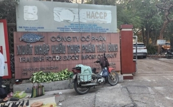 Công ty XNK thực phẩm Thái Bình và Công ty Lại Tôn Anh có “phớt lờ” chỉ đạo?